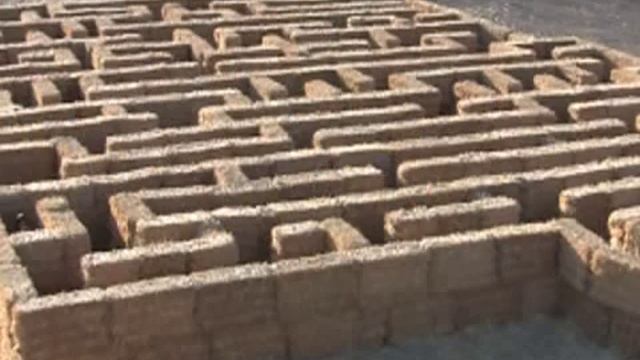 SACRAMENTO PUMPKIN PATCH GOBLIN GARDENS IN BAsTIAO FARMS смотреть онлайн