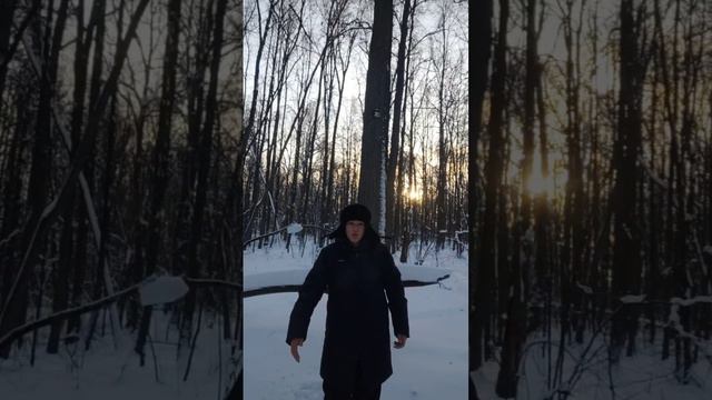 Что делать, если на вас напала бешеная лиса. смотреть онлайн