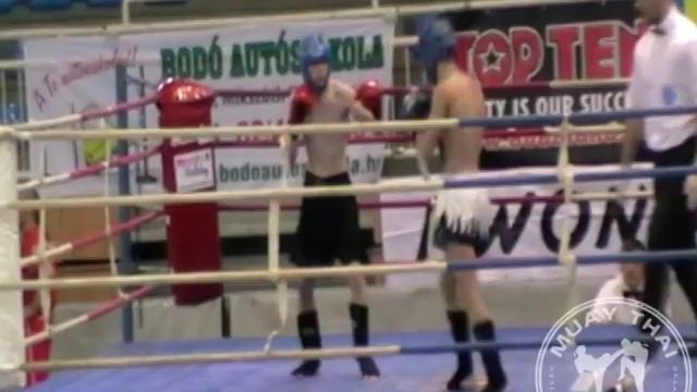 Horvath (HUN) vs Vinnik (BLR) смотреть онлайн