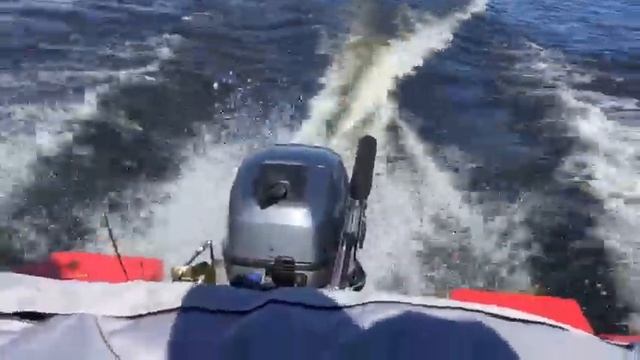 триера 390 fish комфорт + yamaha 9.9(15) gmhs смотреть онлайн