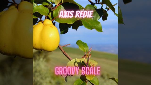 Groovy Scale смотреть онлайн