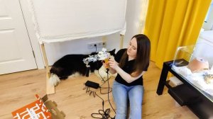 Полезно всем новичкам! Первый раз натягиваю ткань и беру в руки тафтинговый пистолет