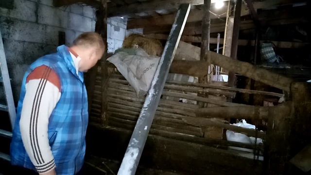 СНЕГ ВЫПАЛ... НО РАБОТЫ МЕНЬШЕ НЕ СТАЛО. НАЧИНАЕМ РЕКОНСТРУКЦИЮ. смотреть онлайн