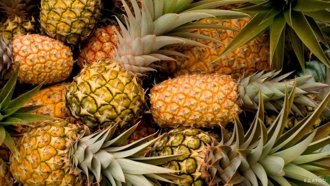 Как разделать ананас? А вот так! смотреть онлайн