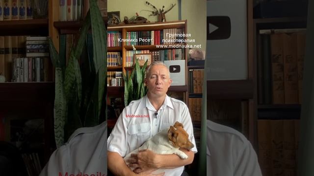 Разъяснения по рецептам с 1.09 смотреть онлайн
