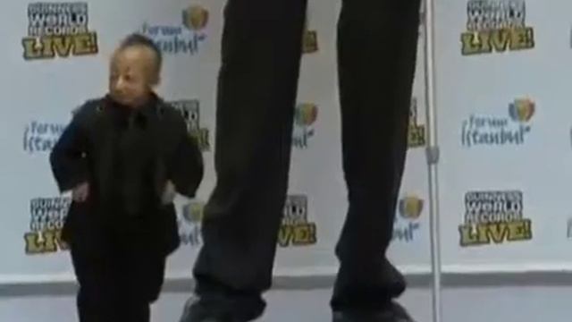 Самый высокий и самый низкий человек мире смотреть онлайн