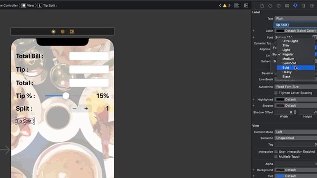 iOS Development 2021 : Make an App in One Video смотреть онлайн