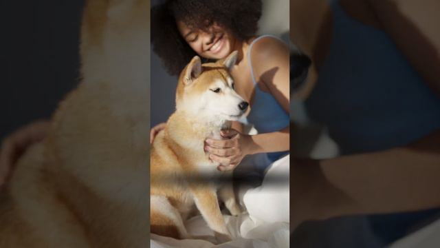 Что такое dog-frienly в отелях? @novo_okatovo смотреть онлайн