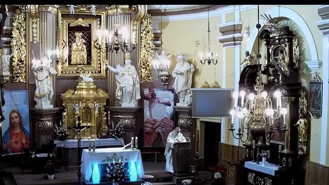 Minoga – transmisja na żywo смотреть онлайн