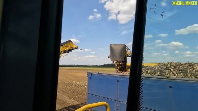 РАБОЧИЙ ДЕНЬ НЕ ЗАДАЛСЯ/УБОРКА ОЗИМЫ ПШЕНИЦЫ ПРОДОЛЖАЕТСЯ/ЧТО СЛУЧИЛОСЬ В ПОЛЕ/НАШ НЕ ЛЁГКИЙ ТРУД/ смотреть онлайн