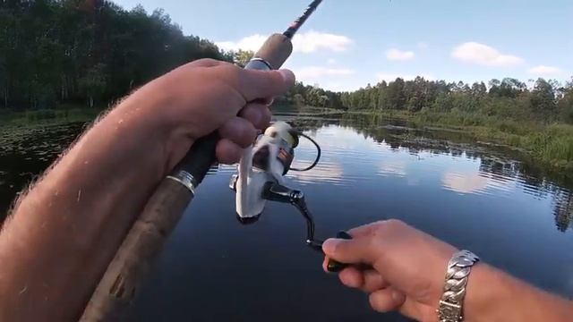 Море поклёвок щуки на лягушку! Озеро Сумки. смотреть онлайн