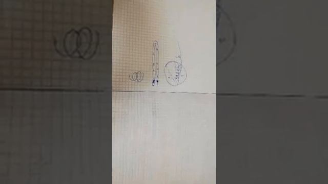 Внутренне строение уха смотреть онлайн