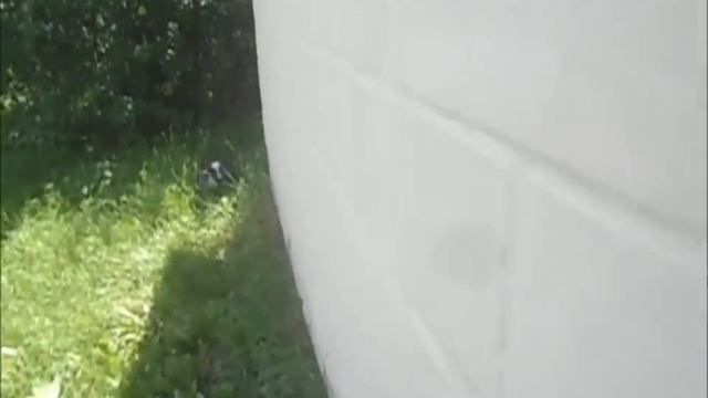 Чудесный видеоролик смотреть онлайн