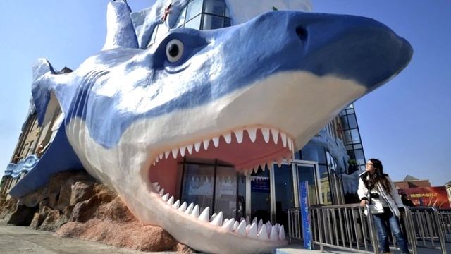 Интересный Китай (КНР) - Interesting China смотреть онлайн