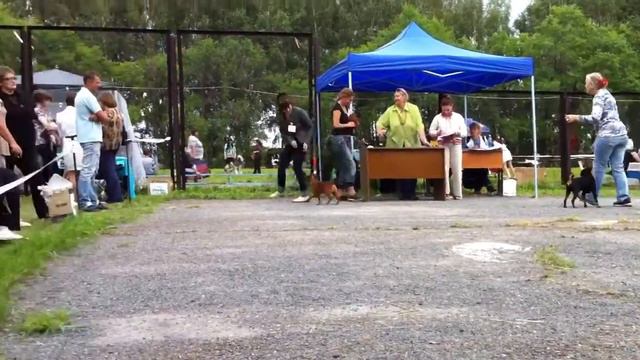 кемерово ркф видио смотреть онлайн