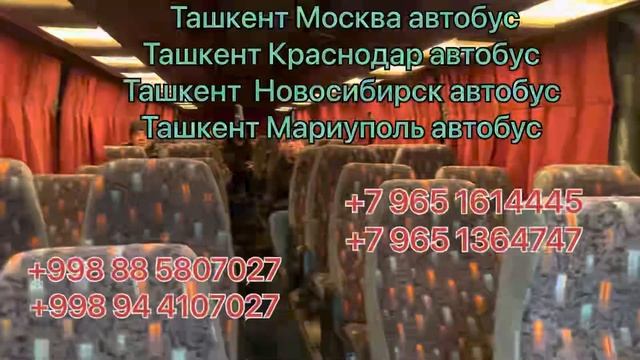 Ташкент Краснодар автобус Ташкент Сочи автобус Ташкент Мариуполь автобус Узбекистана России автобус смотреть онлайн