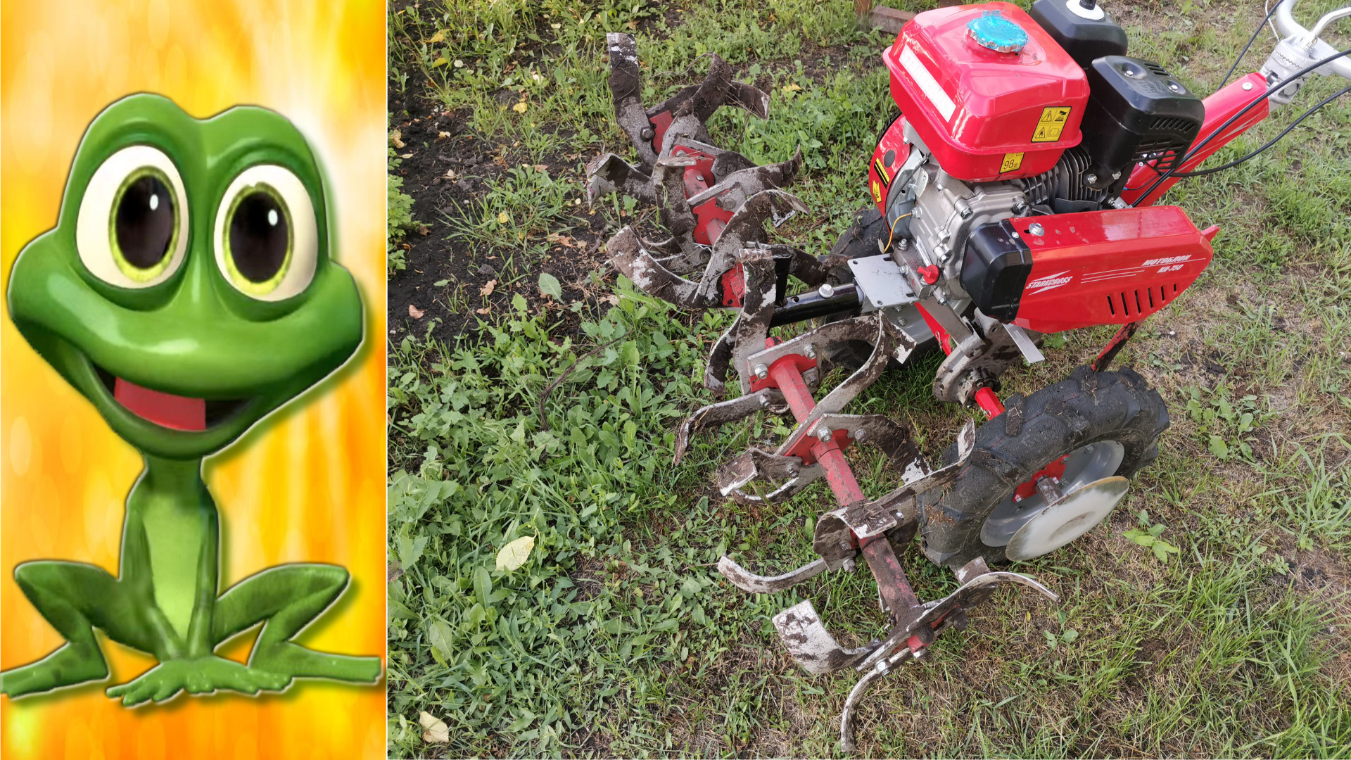 Сорняки на сидераты. Правда или вымысел? Проверяем.