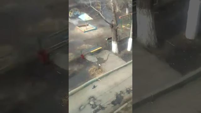 Марина кидает яйца???? смотреть онлайн