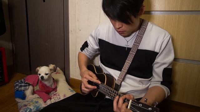 🎸《Home Sweet Home》(ukulele FingerStyle Covered By Fantasy 周峻帆) |With Free Tabs | смотреть онлайн