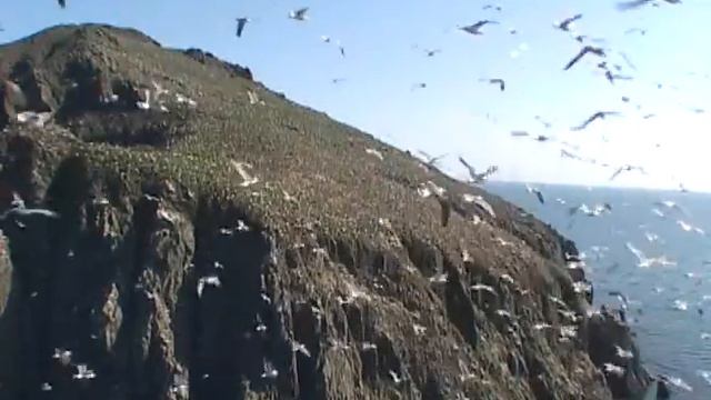 Остров Карамзина - Karamzina usland. Sea of Japan смотреть онлайн