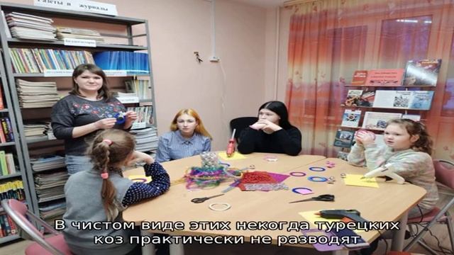 Особенности ангорских коз