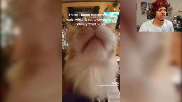 If I Laugh The Video Ends #15