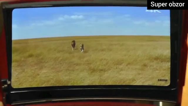 Экранный увеличитель для смартфона!