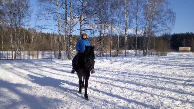 Конь бьет задом, что такое козел, что делать, если лошадь козлит / Дивные Кони смотреть онлайн