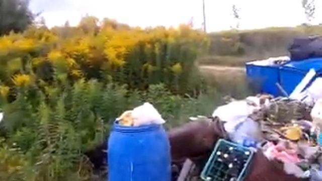 Закаблуки дачи Беларусь смотреть онлайн