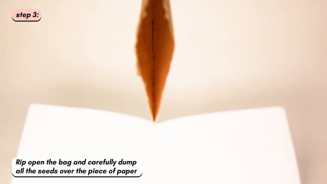 How To: Irish Moss Seeds | Premium Fast Growing Irish Moss Seed (Sagina Subulata) смотреть онлайн