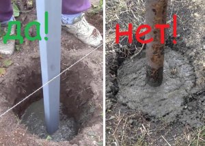 У соседа выморозило столбы на заборе ! Почему _.mp4