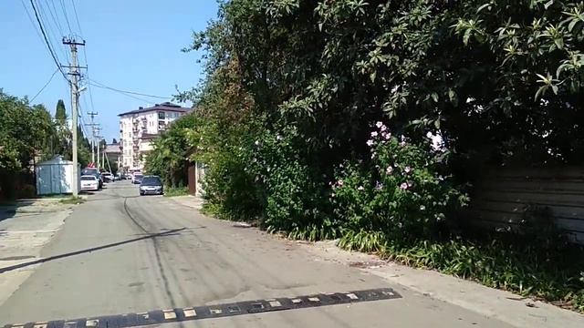 Погода летом в июне, июле и августе в Сочи и Адлере в 2023 году: теплое ли море, температура воздух смотреть онлайн