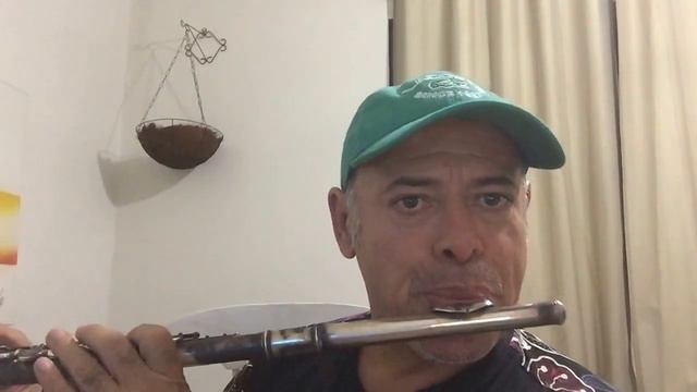 FLAUTISTA JOEL PAIVA MÚSICA CORES DE LA VIDA смотреть онлайн
