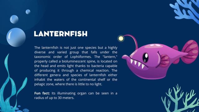 Deep sea animals смотреть онлайн