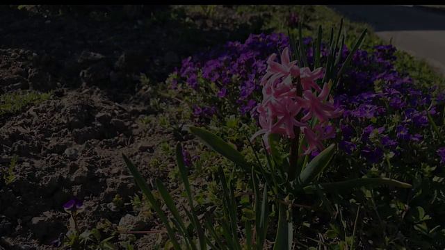 Мария Новикова - Весна смотреть онлайн