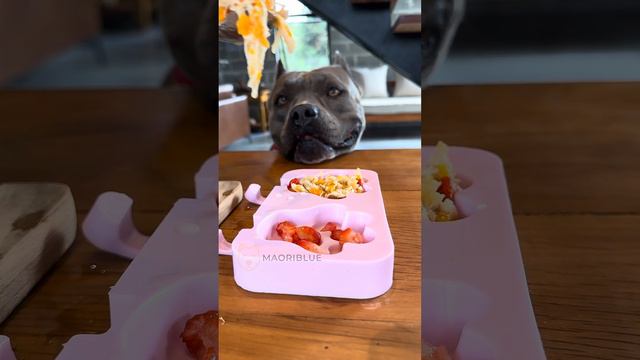 Sorvenut - Para os Dias de Calor - Frango Cozido com Cenoura e Morangos Frescos 🐾 смотреть онлайн