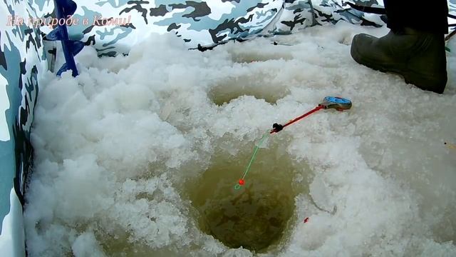 Рыбалка. Попадались крупные ельцы. смотреть онлайн