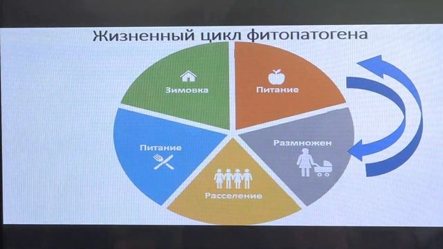 1ч. "Интегрированная система защиты в питомнике", Жуков Федор смотреть онлайн