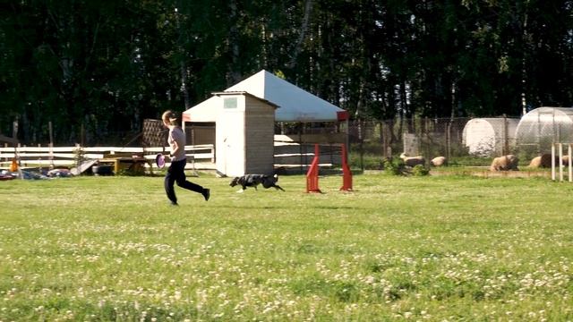 Бордер встреча. Новосибирск. 21.06.2019 смотреть онлайн