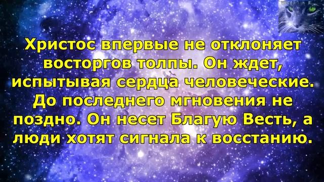 Вербное воскресенье 2019. История праздника. смотреть онлайн