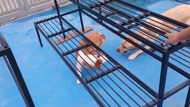 New furniture being made for clients Rose & Steve, plant stands for Miles & Graham. Stay safe guys. смотреть онлайн