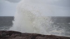 Териберка весной, киты