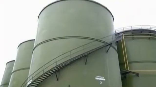 Как сделать масло канолы смотреть онлайн