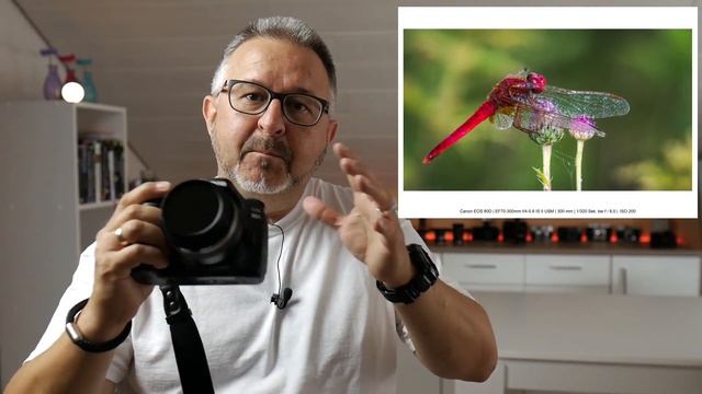 Canon EF-S 60mm F/2.8 USM Macro - Wie Gut Ist Das Handliche Makro-Objektiv Von Canon??