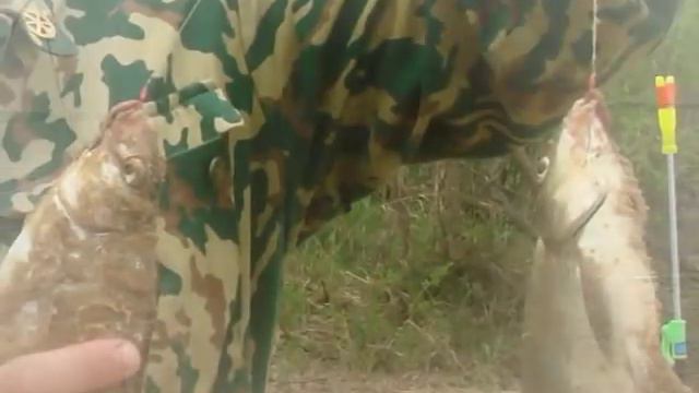 Рыбалка Федякиных!!! смотреть онлайн