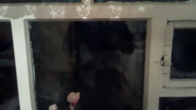 Утро в одном из богатых нефтью и газом регионе.о Сахалин. смотреть онлайн