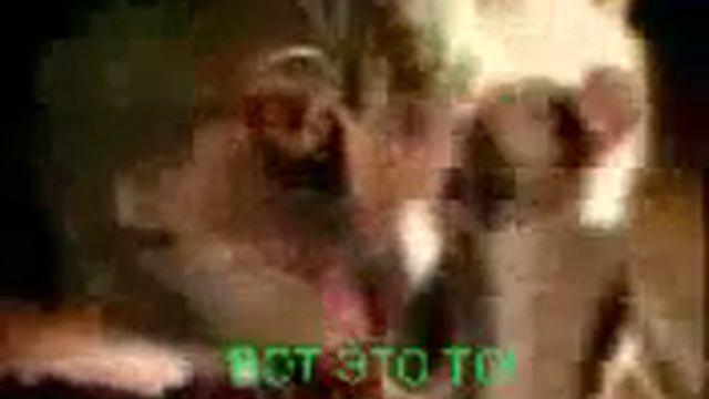 ХРУСТИМЫЧ / Ржачная реклама вискас/хренискас смотреть онлайн