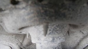 Шум в КПП Hyunday Creta 1.6 МКПП 4 WD