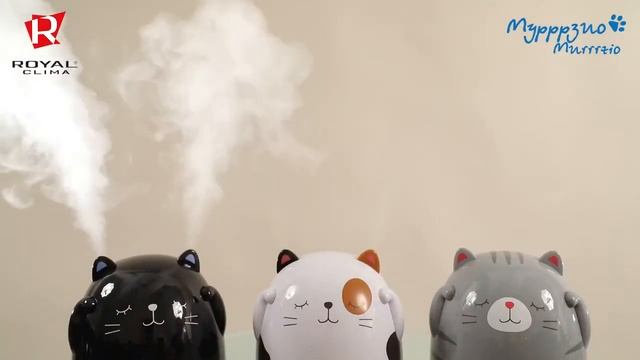 Обзор ультразвуковых увлажнителей воздуха серии Murrrzio от ROYAL Clima смотреть онлайн