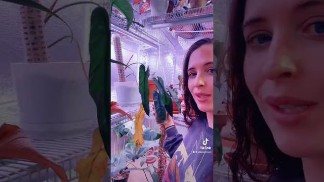 Favorite Plants Of February 2022